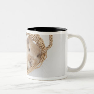 Caneca De Café Em Dois Tons Um coelho está em uma cesta. Holland Lop.