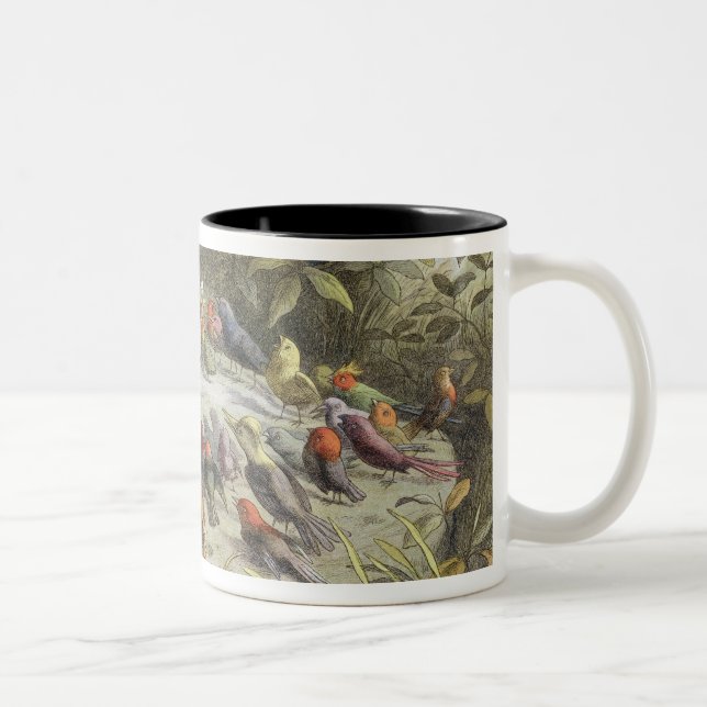 Caneca De Café Em Dois Tons Um ensaio na terra feericamente, ilustração de 'em (Direita)