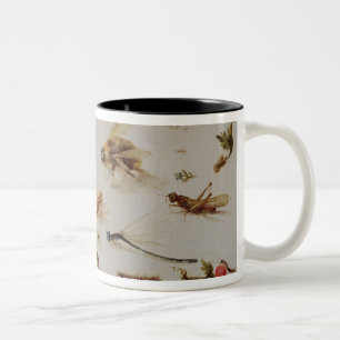 Caneca De Café Em Dois Tons Um estudo dos insetos