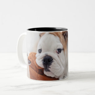 Caneca De Café Em Dois Tons Um filhote de cachorro inglês do buldogue que jog