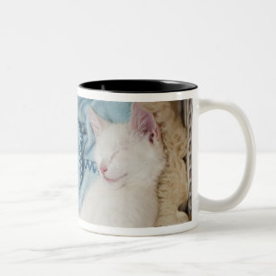 Caneca De Café Em Dois Tons Um gato branco que dorme em uma cesta de