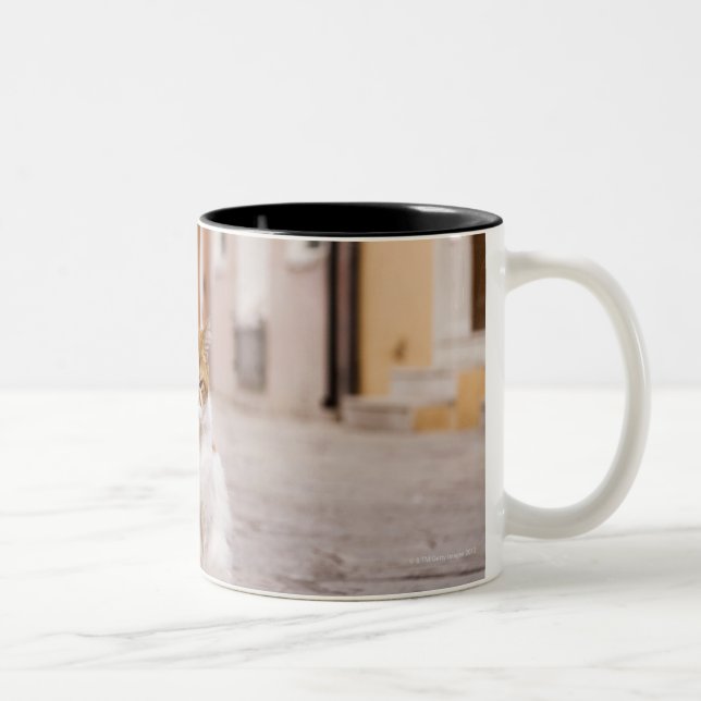 Caneca De Café Em Dois Tons Um gato nas ruas de Burano, Italia.  2006. (Direita)