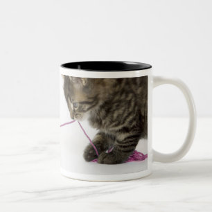 Caneca De Café Em Dois Tons Um jogo novo do gatinho do gato malhado