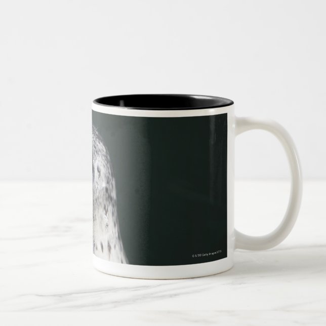 Caneca De Café Em Dois Tons Um selo de porto (Direita)