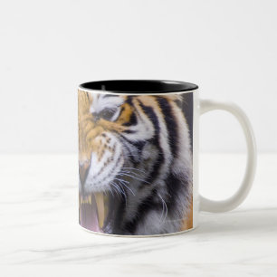Caneca De Café Em Dois Tons Um tigre rujir, jardim zoológico de Formosa,