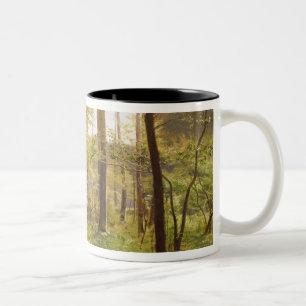 Caneca De Café Em Dois Tons Uma caminhada na floresta