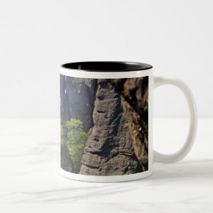Caneca De Café Em Dois Tons Uma caminhada pelas ruínas do Castelo de Belogradc
