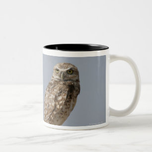 Caneca De Café Em Dois Tons Uma coruja burrowing que senta-se em um cargo da
