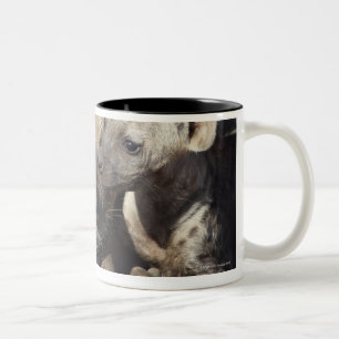 Caneca De Café Em Dois Tons Uma fêmea manchou a hiena e o seu filhote, Kruger
