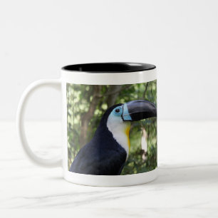 Caneca De Café Em Dois Tons Uma foto bonita de Toucan