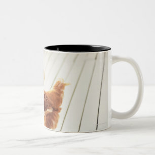 Caneca De Café Em Dois Tons Uma galinha e dois pintinhos em um assoalho de