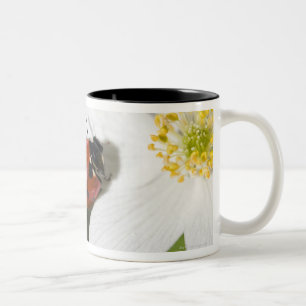 Caneca De Café Em Dois Tons Uma joaninha em uma anêmona de madeira Éstocolmo