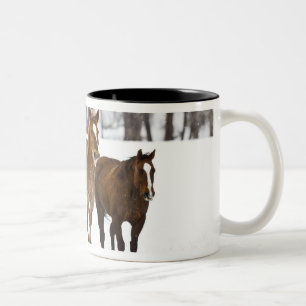 Caneca De Café Em Dois Tons Uma paisagem de inverno de corrida