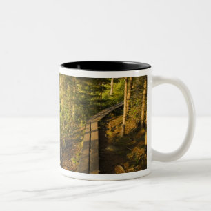 Caneca De Café Em Dois Tons Uma passarela de madeira no Parque Nacional Acadia