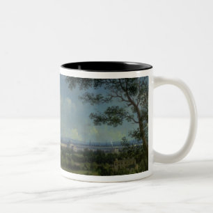 Caneca De Café Em Dois Tons Uma vista do parque do regente