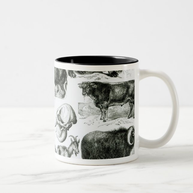Caneca De Café Em Dois Tons Ungulata ou animais Hoofed (Direita)