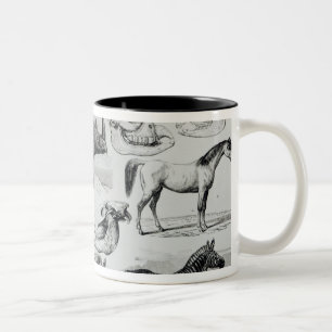 Caneca De Café Em Dois Tons Ungulata ou animais Hoofed
