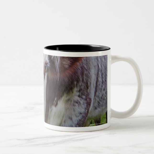 Caneca De Café Em Dois Tons Única vaca que peerring na câmera (Direita)