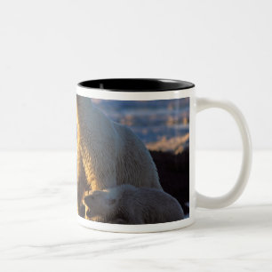 Caneca De Café Em Dois Tons Ursas polares com filhote ao lado, 1002 costeira