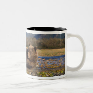 Caneca De Café Em Dois Tons Urso pardo, urso cinzento esticando-se de costas