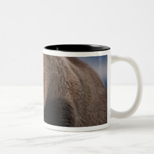 Caneca De Café Em Dois Tons Urso pardo, urso cinzento, tirando uma soneca, Kat