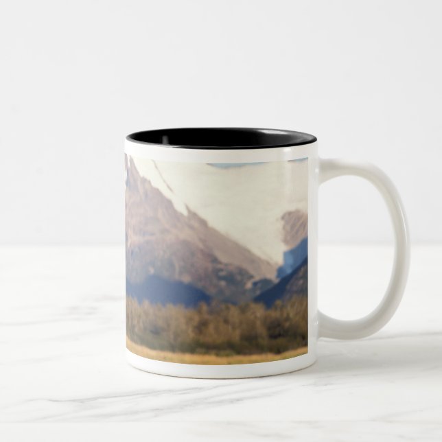 Caneca De Café Em Dois Tons urso pardo, Ursus arctos, urso cinzento, Ursus (Direita)