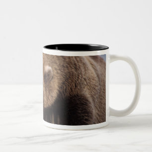 Caneca De Café Em Dois Tons urso pardo, Ursus arctos, urso cinzento, Ursus 8