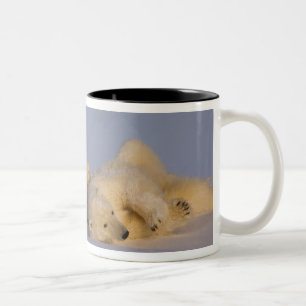 Caneca De Café Em Dois Tons urso polar, Ursus maritimus, fêmea brincando