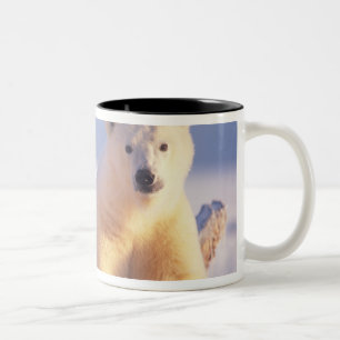 Caneca De Café Em Dois Tons Ursoaica com filhote no gelo da banquisa