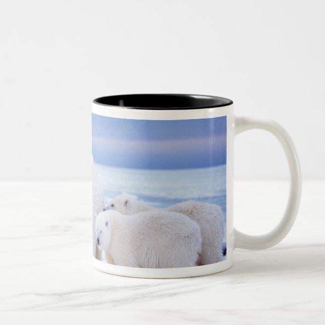 Caneca De Café Em Dois Tons Ursoaica com filhotes (Direita)