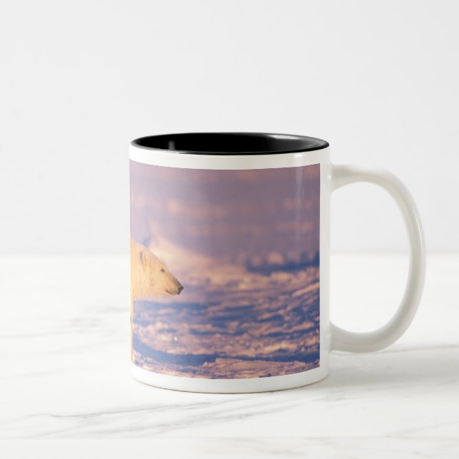 Caneca De Café Em Dois Tons Ursoaica com filhotes de primavera no congelado (Direita)