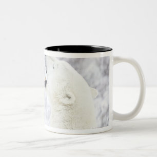 Caneca De Café Em Dois Tons Ursos polares que jogam na neve