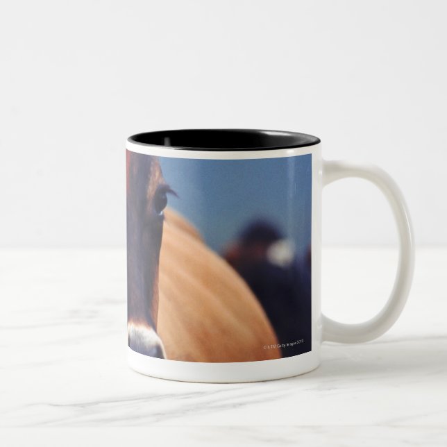 Caneca De Café Em Dois Tons vaca (Direita)