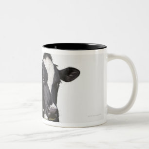 Caneca De Café Em Dois Tons Vaca de leiteria (taurus do Bos) no fundo branco