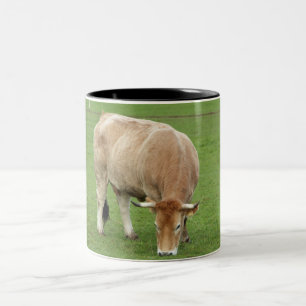 Caneca De Café Em Dois Tons Vaca de Nantaise num campo