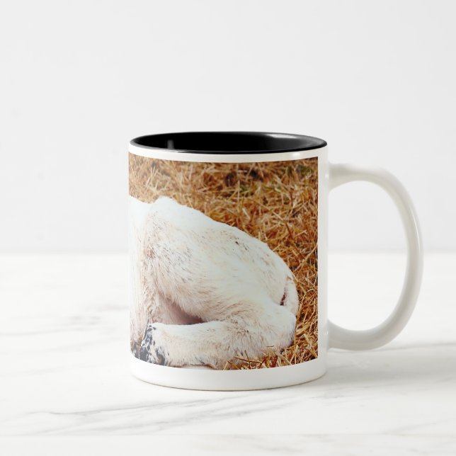 Caneca De Café Em Dois Tons Vaca do bebê, vitela (Direita)