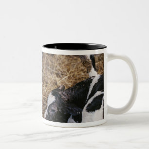 Caneca De Café Em Dois Tons Vaca e vitela no feno