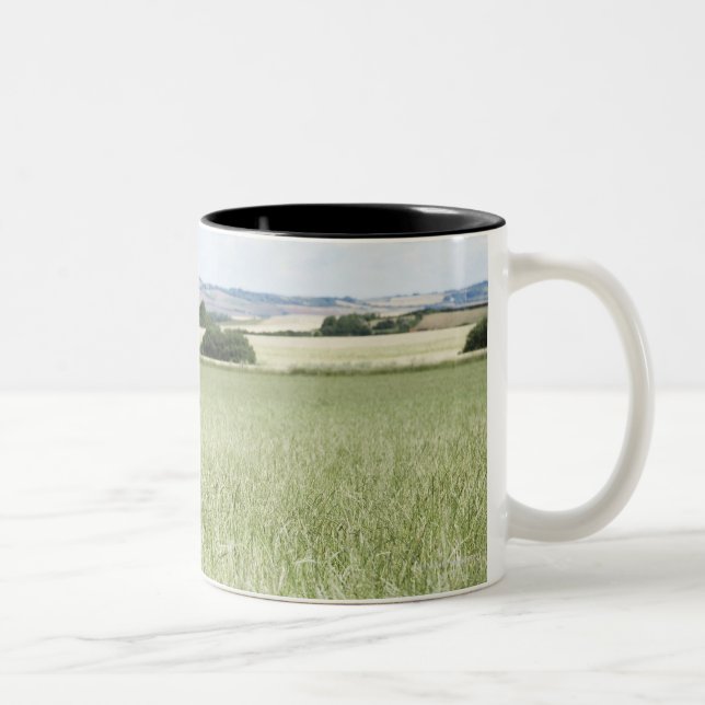 Caneca De Café Em Dois Tons Vaca que pasta no prado (Direita)