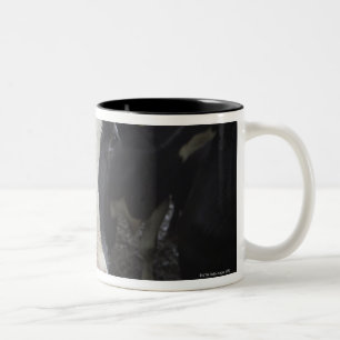 Caneca De Café Em Dois Tons Vacas