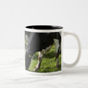 Caneca De Café Em Dois Tons Vacas de leiteria que pastam no pasto