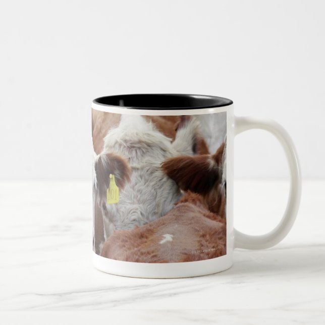 Caneca De Café Em Dois Tons Vacas em uma cerca (Direita)