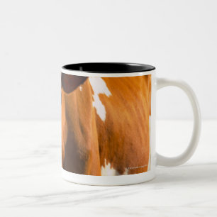 Caneca De Café Em Dois Tons Vacas na fazenda
