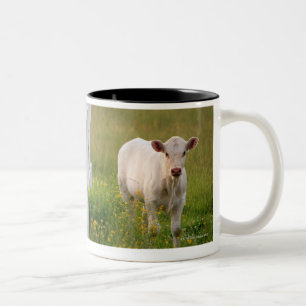 Caneca De Café Em Dois Tons Vacas no campo