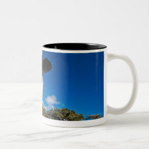 Caneca De Café Em Dois Tons Vacas que alimentam no pasto 2