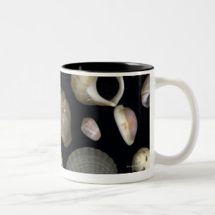 Caneca De Café Em Dois Tons Vários escudos do mar