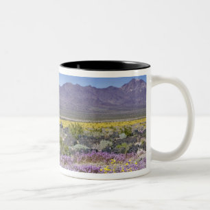 Caneca De Café Em Dois Tons Verbena de Areia & Ouro do Deserto no Amboy Crater