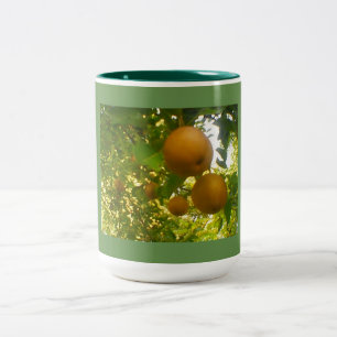 Caneca De Café Em Dois Tons Verde da árvore de pera