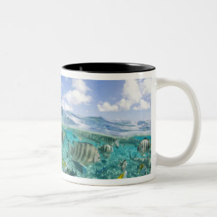 Caneca De Café Em Dois Tons Viagem de safári pela lagoa com arraias