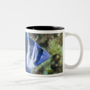Caneca De Café Em Dois Tons Vida subaquática, PEIXE: Índigo Hamlet