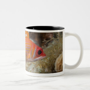 Caneca De Café Em Dois Tons Vida subaquática, PEIXE: um Squirrelfish de